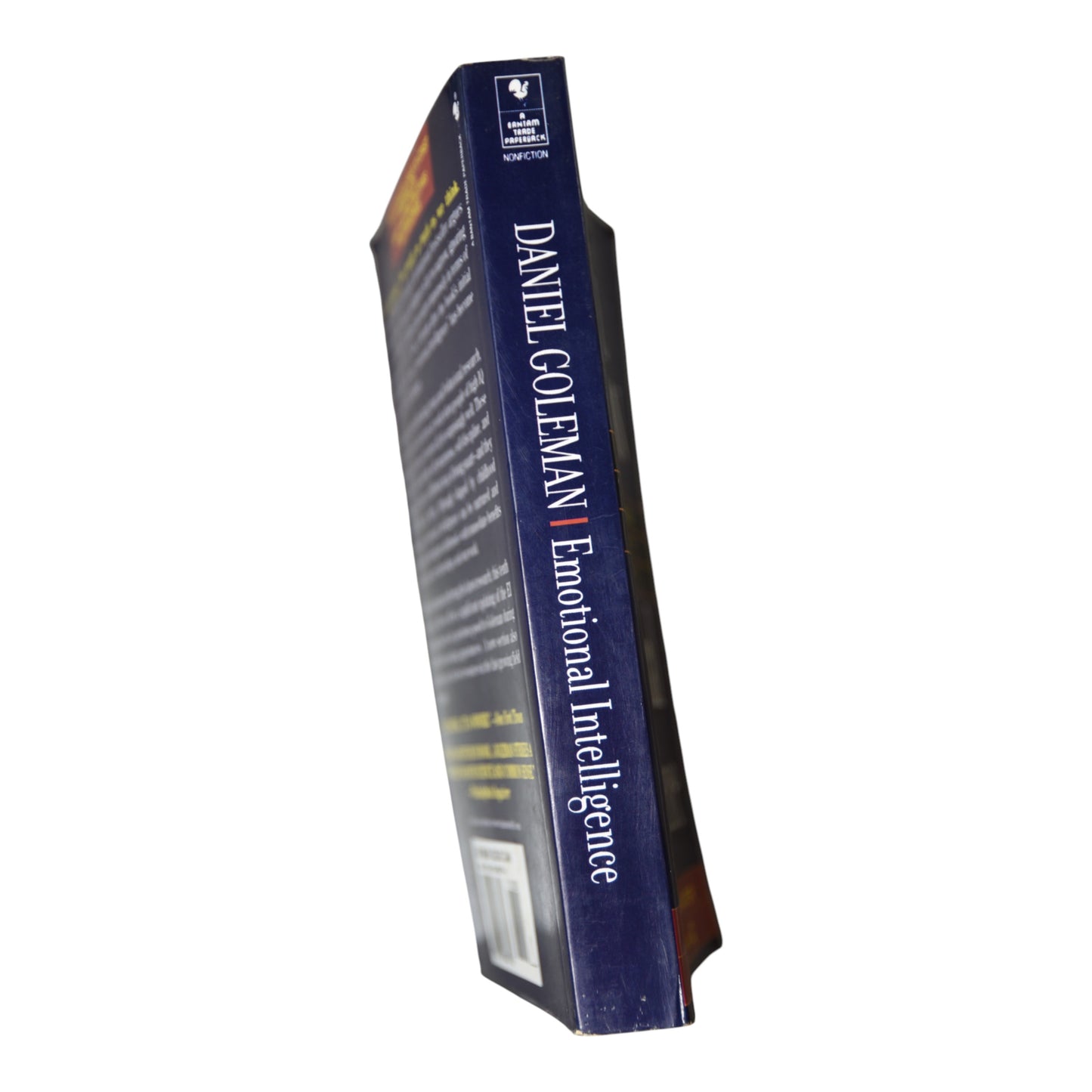 Emotional Intelligence